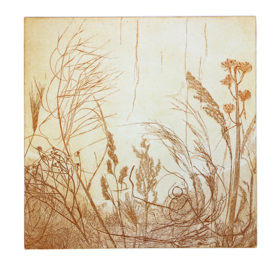 Heike Roesel "Grasses", fine art etching in variation, edition of 10