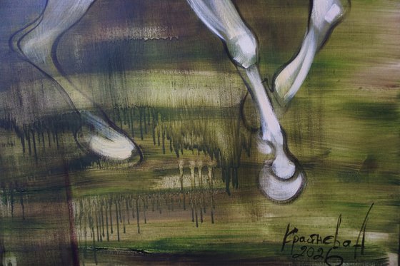 Dance with me. Horses