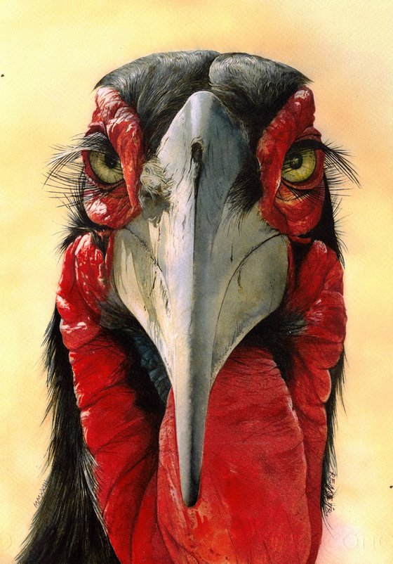 BIRD CCXXXI - Portrait