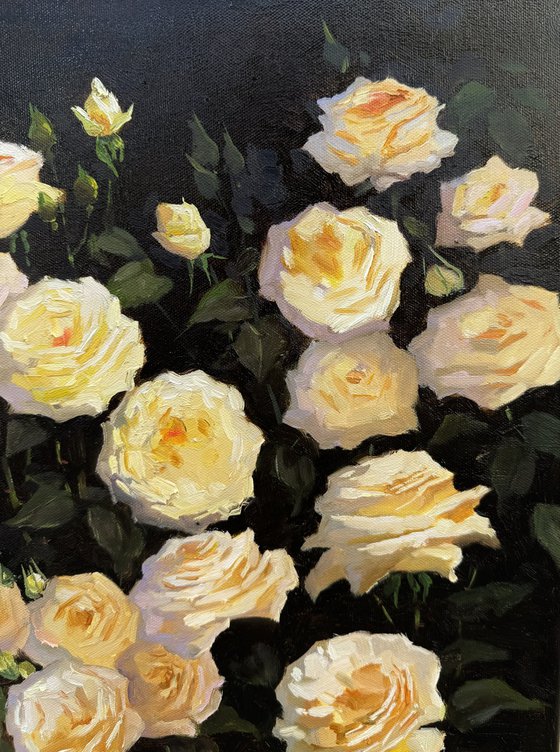 Yellow and Peach Roses