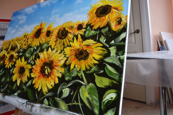 Sunflowers under the Ukrainian Sky