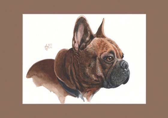 French Bulldog