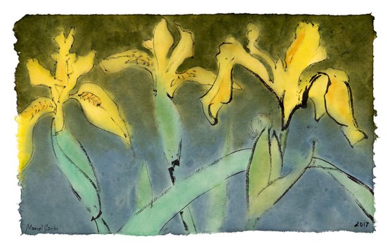 Yellow Iris