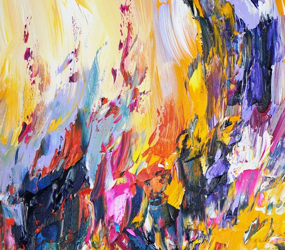 Magnificent Spectacle XL 3