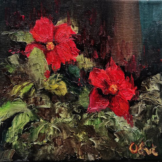 Red hibiscus. 20 x 20 cm. Plein-air. Ibisco rosso