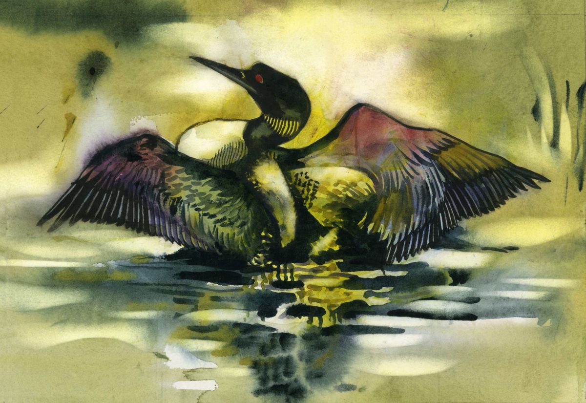 Animal Watercolour By Alfred Ng, 13 X 9, Loon In Lake, Original Artwork