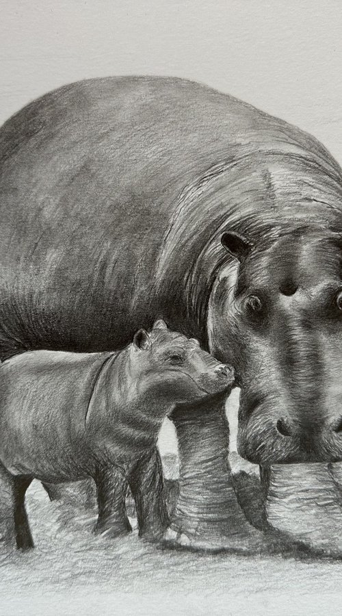 Mummy and baby hippo by Maxine Taylor