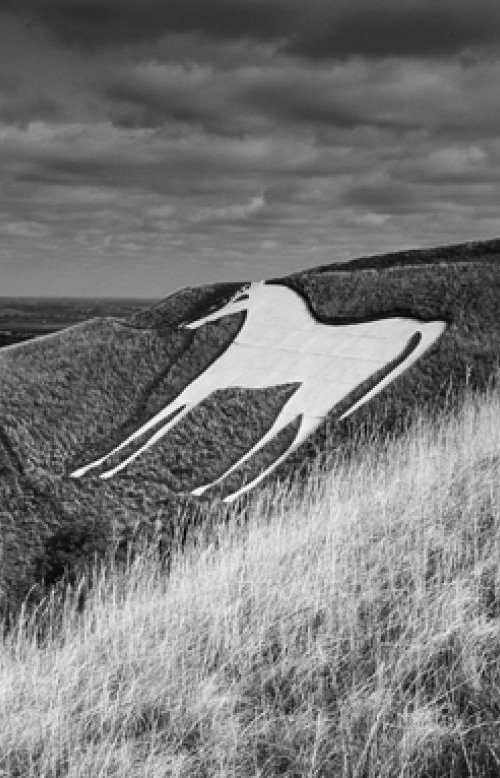 White Horse - Westbury by Stephen Hodgetts Photography