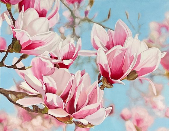 Magnolia Flowers