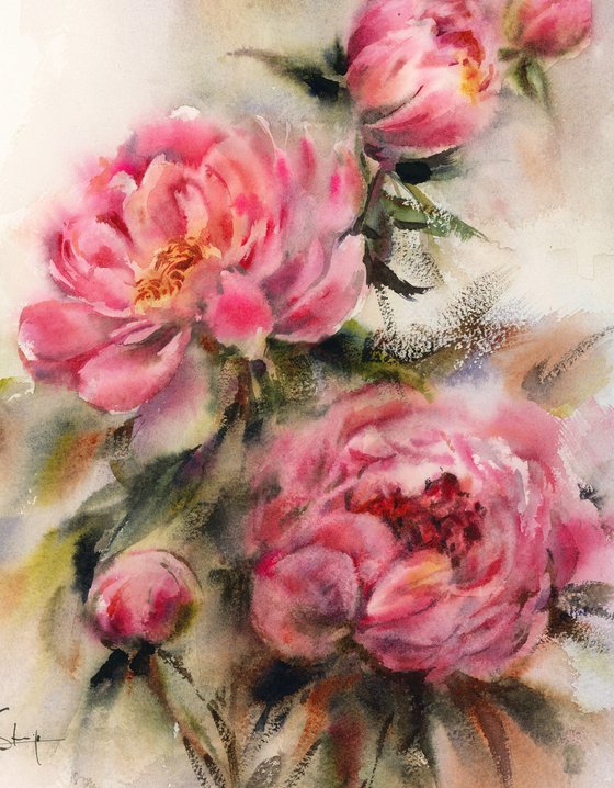 Pink Peonies