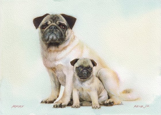 PUGS IV