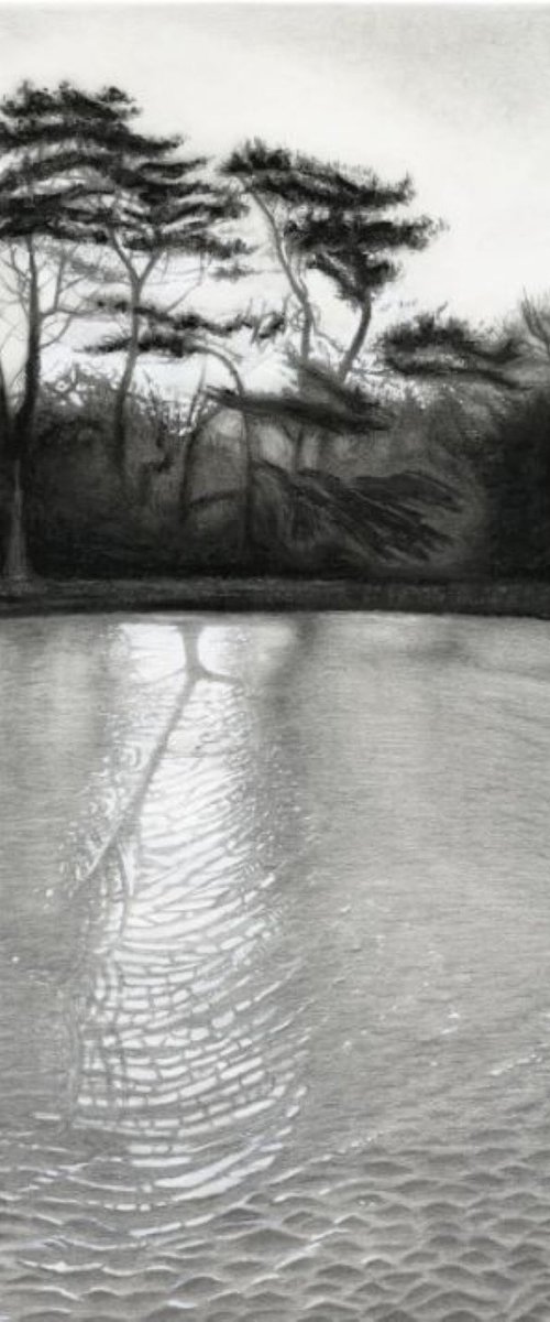 reflections 1 by Lisa Punter