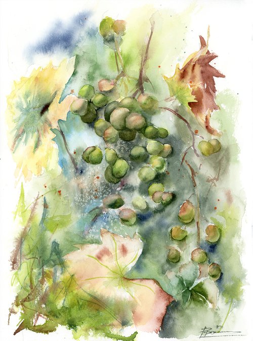 Grape branch (1 of 2) by Olga Tchefranov (Shefranov)