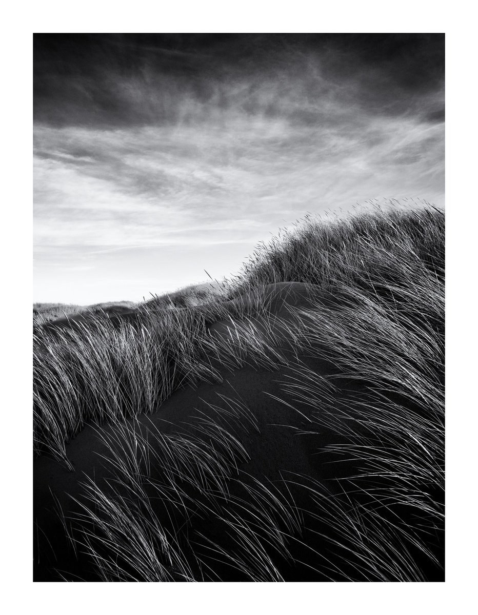 Dune Portrait IV by David Baker