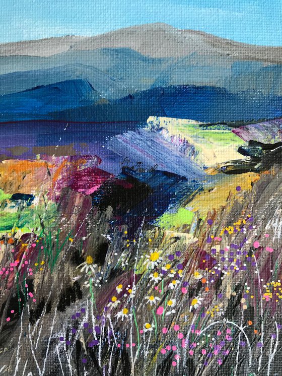 Highland meadow