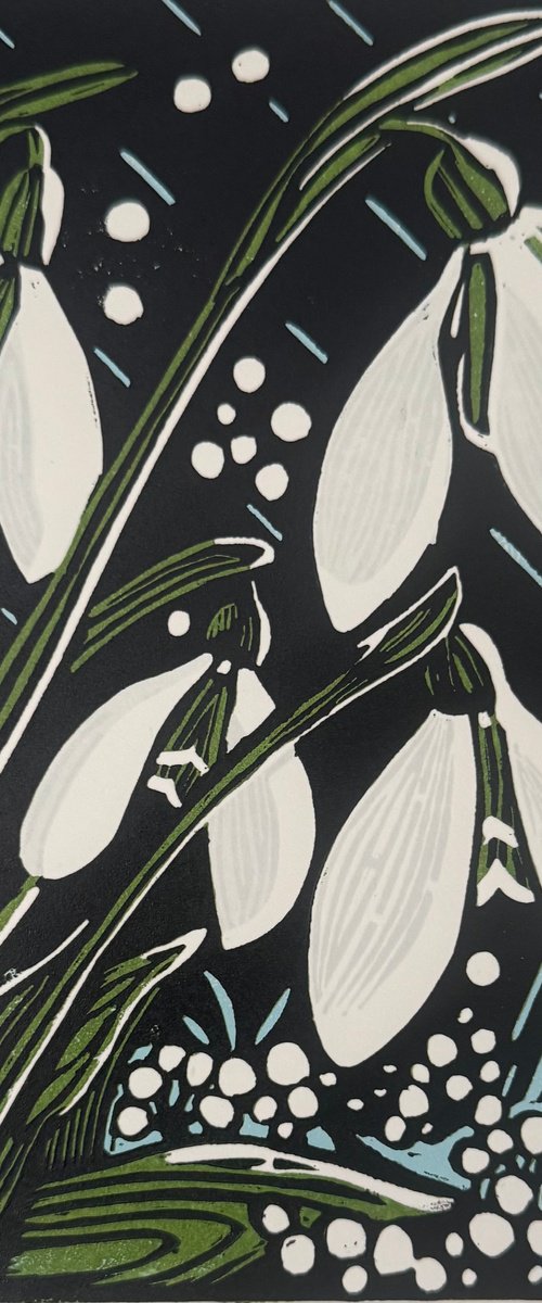 Snowdrops by Joanne Spencer