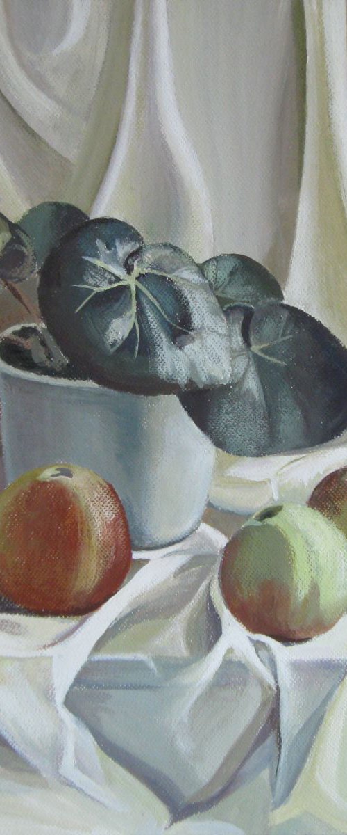 Apples and plant by Elena Oleniuc