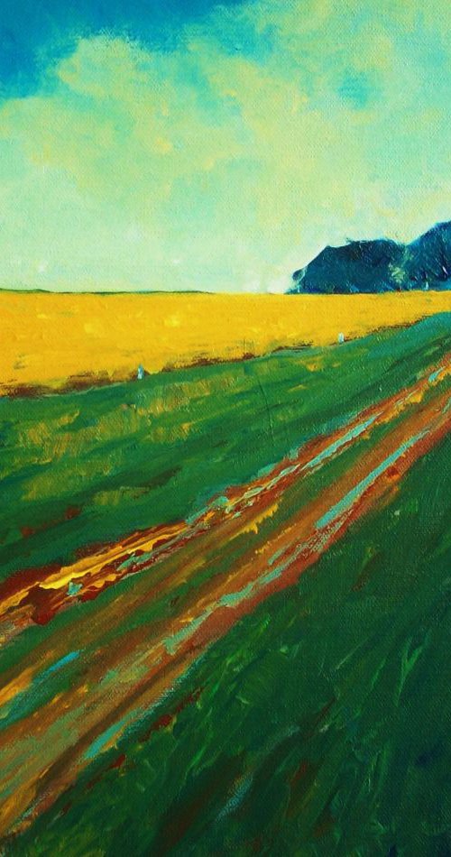 Farm Track, After Rain by David J Edwards