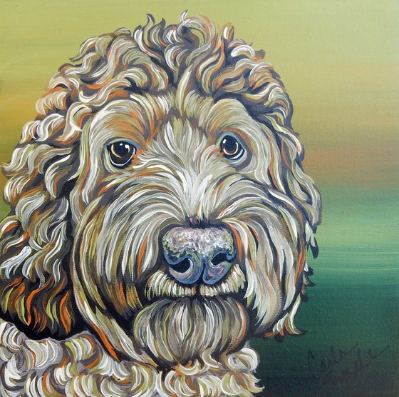 Labradoodle Pet Dog Original Art Painting-8 x 8 Inches Deep Set Stretched Canvas-Carla Smale