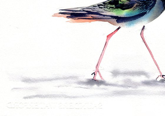 Lapwing, walking to 2021, 37,5x27,5 cm watercolor, still life with bright bird, gift idea, medium