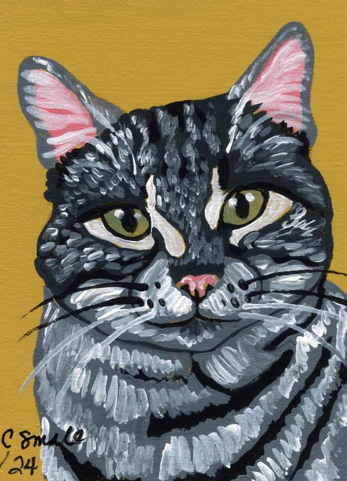 Gray Tabby Cat by Carla Smale