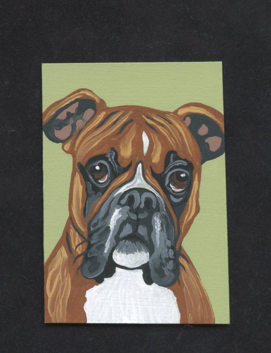 ACEO ATC Original Miniature Painting  Boxer Pet Dog Art-Carla Smale