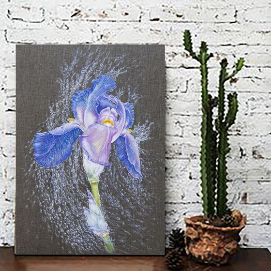 Iris in Rain Pearls