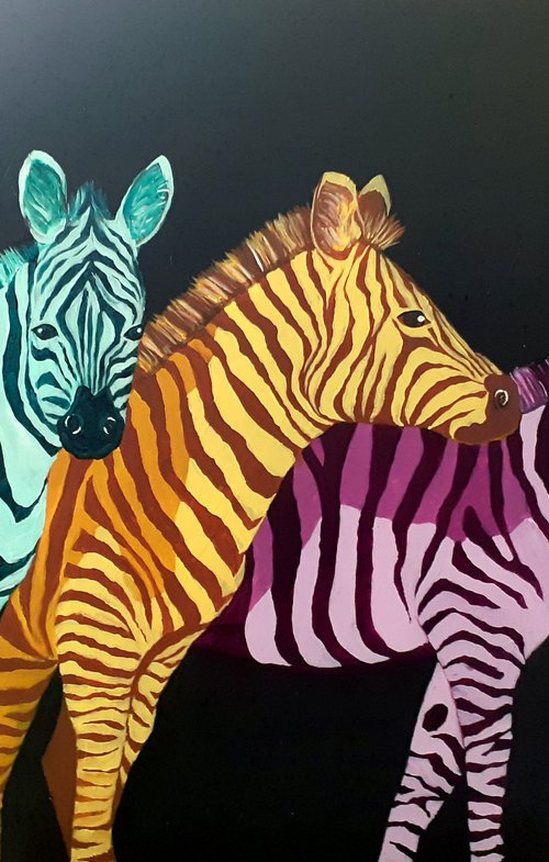 Zebras by Terri Smith