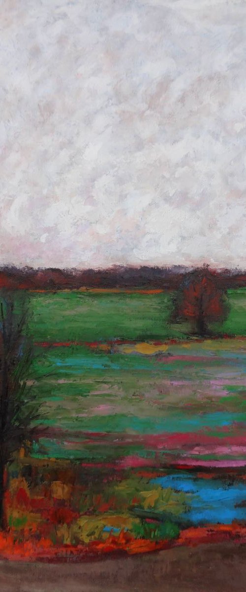 Country rain by Massimiliano Ligabue