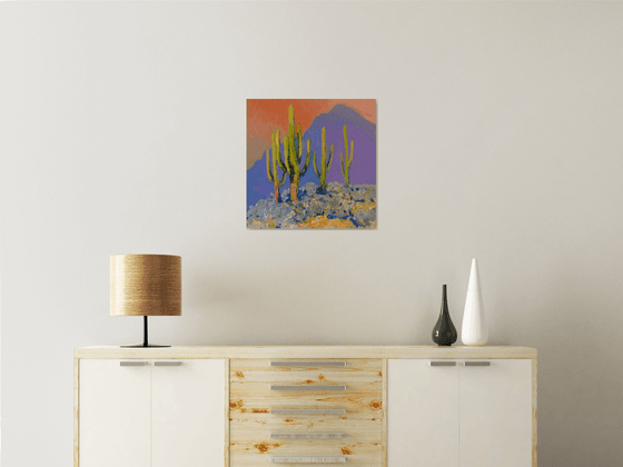 Evening and Saguaro Cactuses