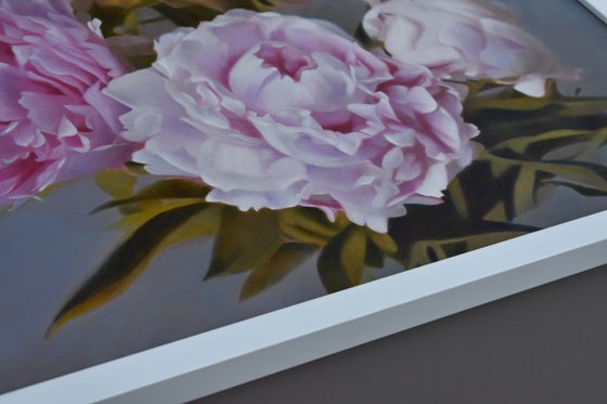 Peonies in Bloom.