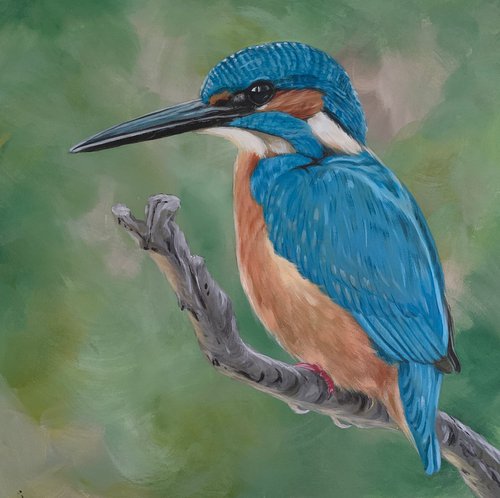 Kingfisher by David Kendall