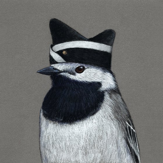 Original pastel drawing bird "White wagtail"