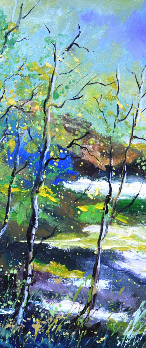 Water puddles by Pol Henry Ledent