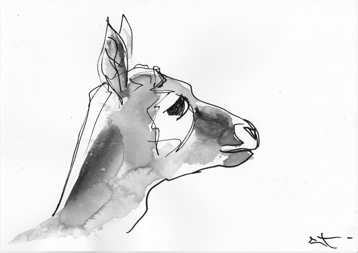 Expressive Animal Ink Drawing By Lionel Le Jeune, 12 X 8", Deer, Original Artwork