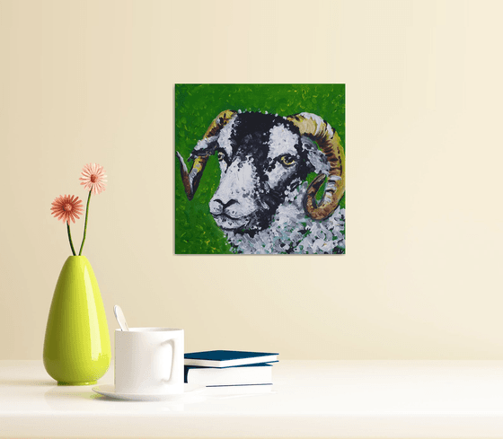 "Swaledale sheep II"