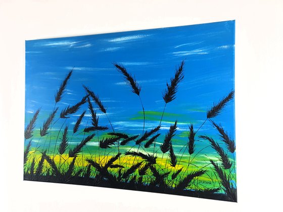 Sunrise in the grass