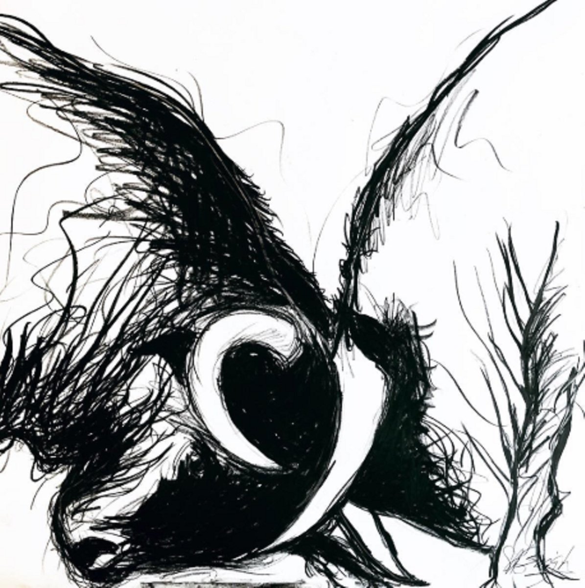 Illustrative Animal Charcoal Drawing By Shabs Beigh, 33 X 33", Bull Fight, Original Artwork