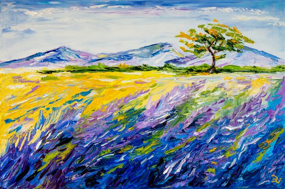 Provence landscape