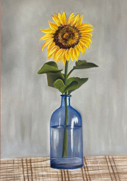 Sunflower by Maxine Taylor