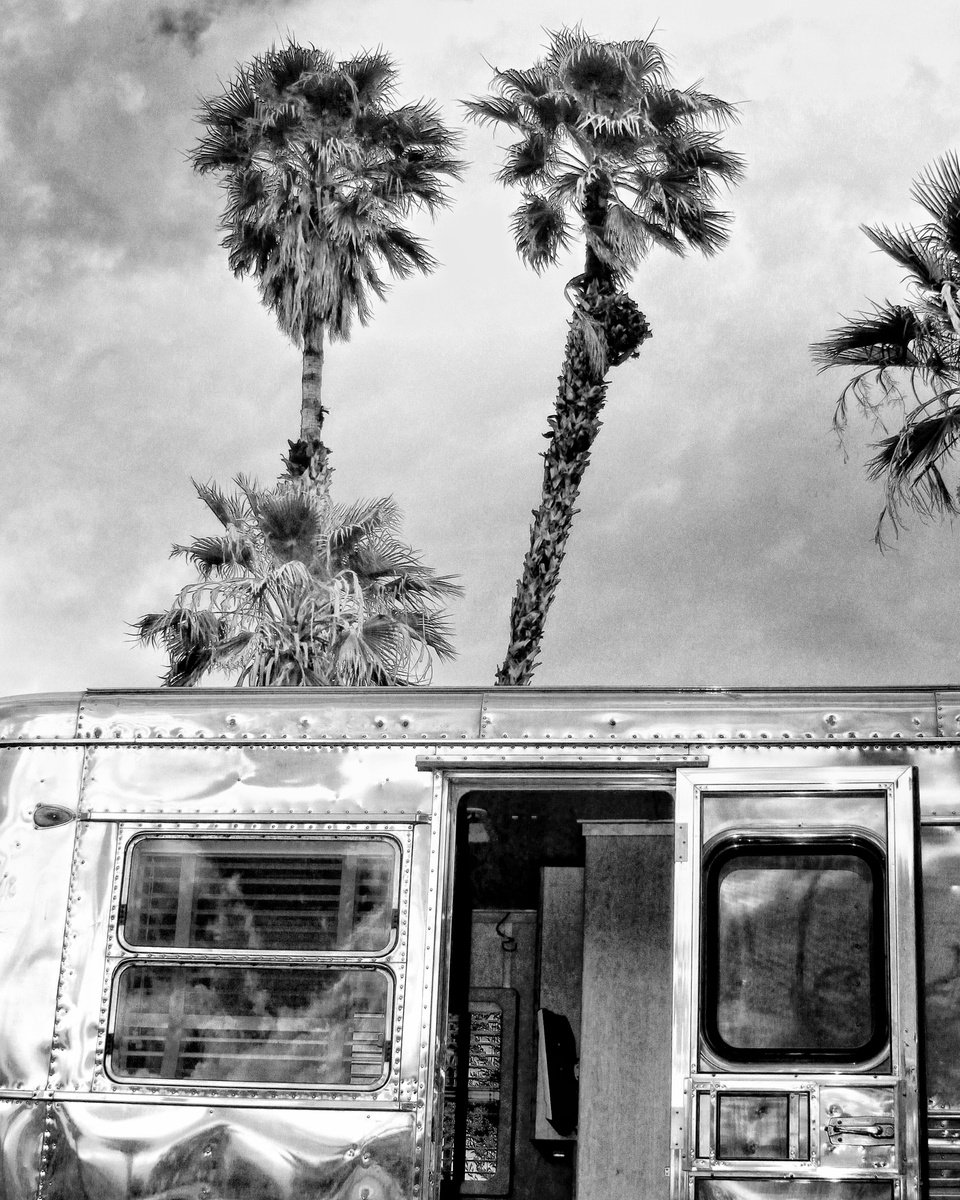 BREEZING ALONG Palm Springs CA by William Dey