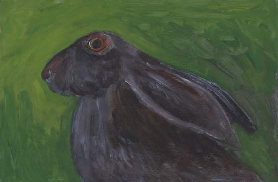 Hare In Grass