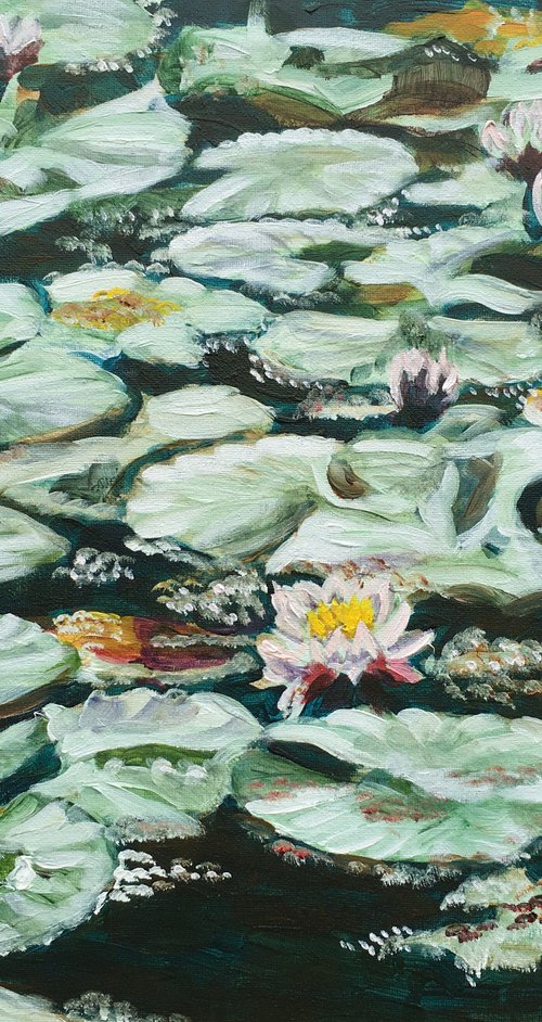 Waterlilies 5 by Elena Sokolova