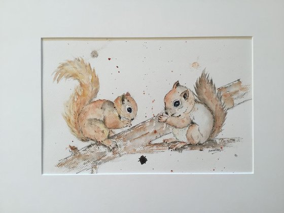 Squirrels