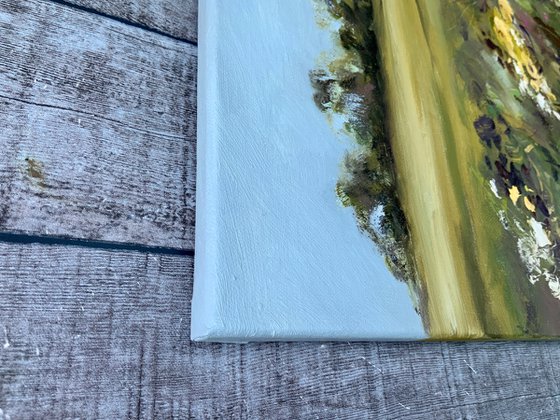 Whispers of the Meadow