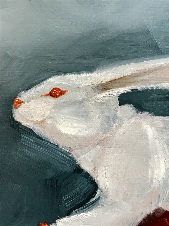 The Rabbit