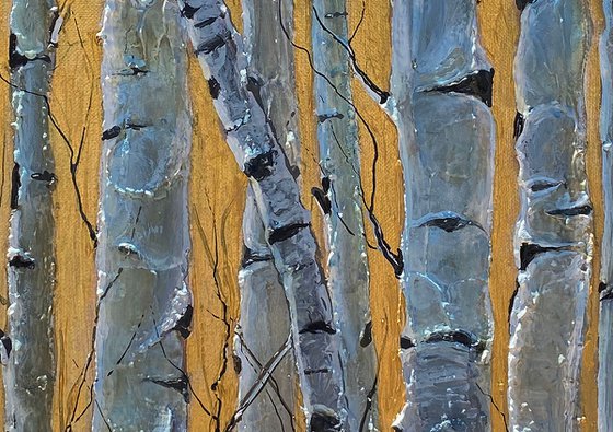 Birch Trees  Monochrome