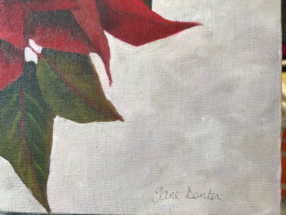 Poinsettia - Framed