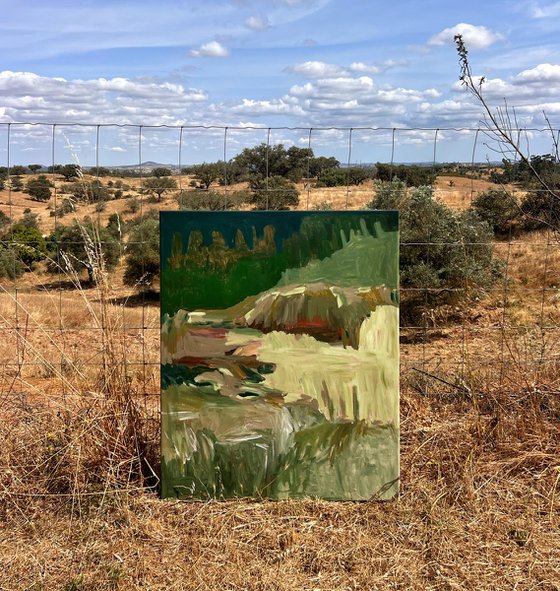 Olive Groves