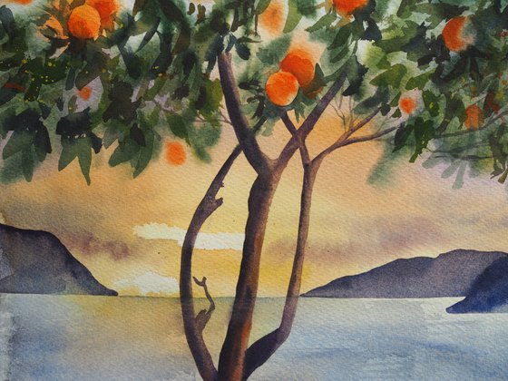 Winter mediterranean sunset with oranges tree